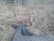 20251101_075540.jpg 20251101_075540.jpg