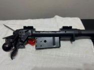 IMG_7990.jpeg IMG_7990.jpeg