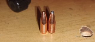 IMG_20251103_185655521.jpg IMG_20251103_185655521.jpg