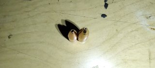 IMG_20251103_185844178.jpg IMG_20251103_185844178.jpg