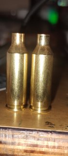 IMG_20251101_185632476.jpg IMG_20251101_185632476.jpg