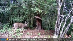 e0514c50-b63d-11f0-9e44-b97753d732e9 (2).jpg