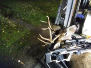 IMG_20251030_212308.jpg IMG_20251030_212308.jpg