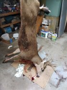 IMG_20251031_204623.jpg IMG_20251031_204623.jpg