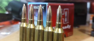 IMG_20251104_101813025.jpg IMG_20251104_101813025.jpg