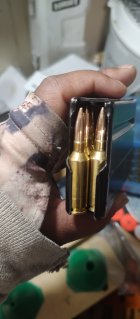 IMG_20251104_102239521.jpg IMG_20251104_102239521.jpg