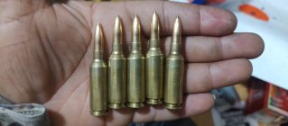 IMG_20251104_164144116.jpg IMG_20251104_164144116.jpg