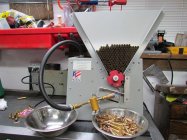 223 annealing.jpg 223 annealing.jpg