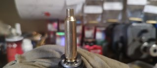 IMG_20251106_104357969.jpg IMG_20251106_104357969.jpg