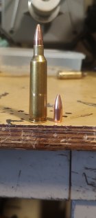 IMG_20251106_123525278.jpg IMG_20251106_123525278.jpg