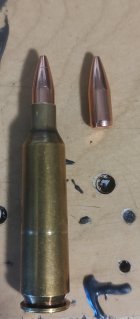 IMG_20251106_123559022.jpg IMG_20251106_123559022.jpg