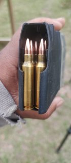 IMG_20251106_152806708.jpg IMG_20251106_152806708.jpg