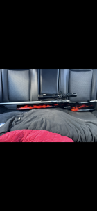 IMG_7754.png IMG_7754.png