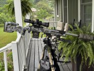 IMG_5337.jpeg IMG_5337.jpeg