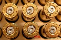 PrimerFlow.JPG PrimerFlow.JPG