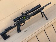 Savage Precision 22.jpg