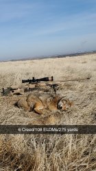 Snapchat-1297413444.jpg Snapchat-1297413444.jpg