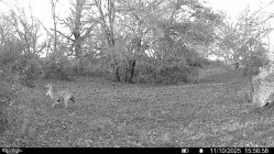 buck 2025 Randy2.jpg