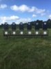 fly target stands.JPG