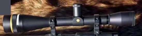 Leupold 25Xd.jpg