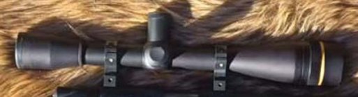 Leupold 25Xe.jpg