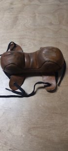 Bald Eagle 5 - Owl ear sporter front bag.jpg