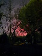 IMG_5605.jpeg IMG_5605.jpeg