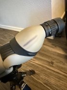 IMG_0953.jpeg IMG_0953.jpeg