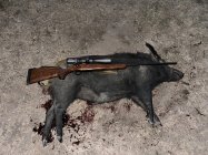 IMG_2948.jpeg IMG_2948.jpeg