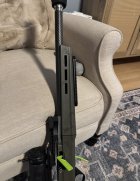 IMG_7947.jpeg IMG_7947.jpeg