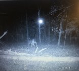 80F7F2D5-AE45-4877-8DE4-2CC73DD6D055.jpeg 80F7F2D5-AE45-4877-8DE4-2CC73DD6D055.jpeg