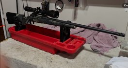 IMG_8048.jpeg IMG_8048.jpeg