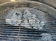 IMG_9512.jpeg IMG_9512.jpeg