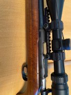 IMG_5455.jpeg IMG_5455.jpeg