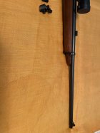 IMG_5457.jpeg IMG_5457.jpeg