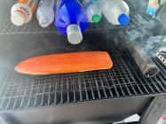 IMG_9514.jpeg IMG_9514.jpeg