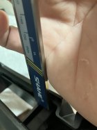 IMG_1249.jpeg IMG_1249.jpeg