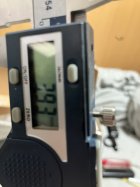 IMG_1250.jpeg IMG_1250.jpeg