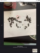 IMG_1922.jpeg IMG_1922.jpeg