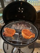 IMG_9520.jpeg IMG_9520.jpeg