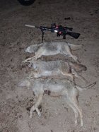 1000001410.jpg 1000001410.jpg