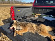 IMG_7499.jpeg IMG_7499.jpeg