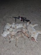 20251122_225048.jpg 20251122_225048.jpg