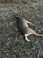 IMG_1383.jpeg IMG_1383.jpeg