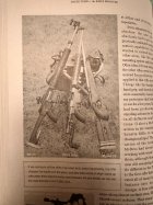 IMG_7037.jpeg IMG_7037.jpeg