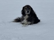 25-12-02 09-50-52 2247.jpg