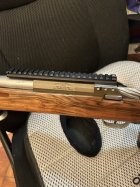 IMG_2103.jpeg IMG_2103.jpeg