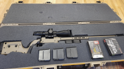 1764971261562.png 1764971261562.png