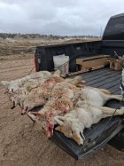 20251206_120751.jpg 20251206_120751.jpg