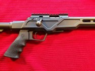 20251206_143943 (Large).jpg